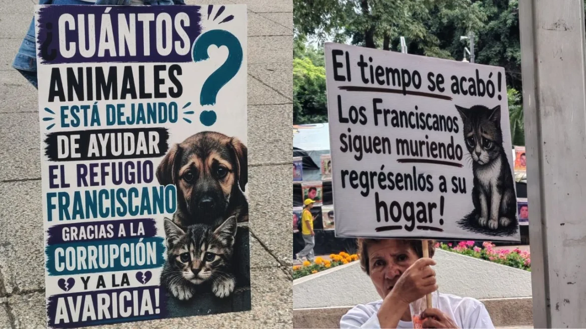 Protestan frente a Reforma 222 por devolución de animales del Refugio Franciscano