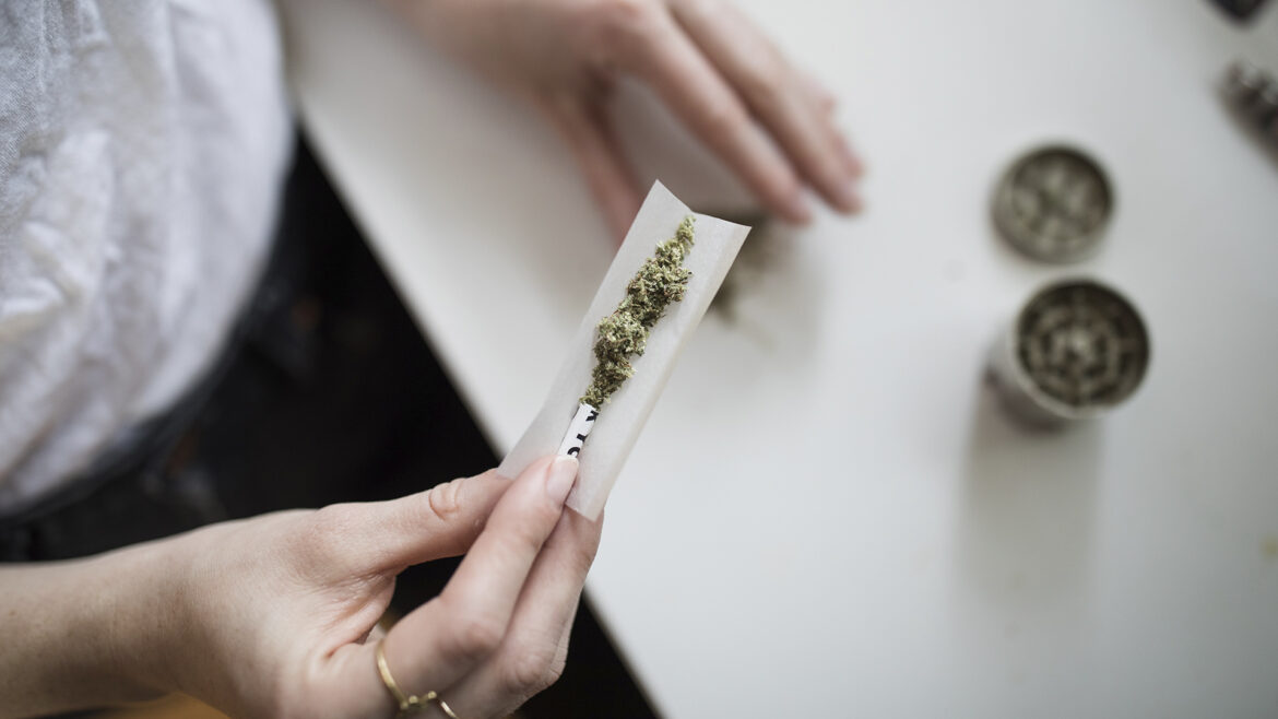 Cofepris acata resolución de la SCJN sobre autorizaciones conjuntas para autoconsumo lúdico de cannabis