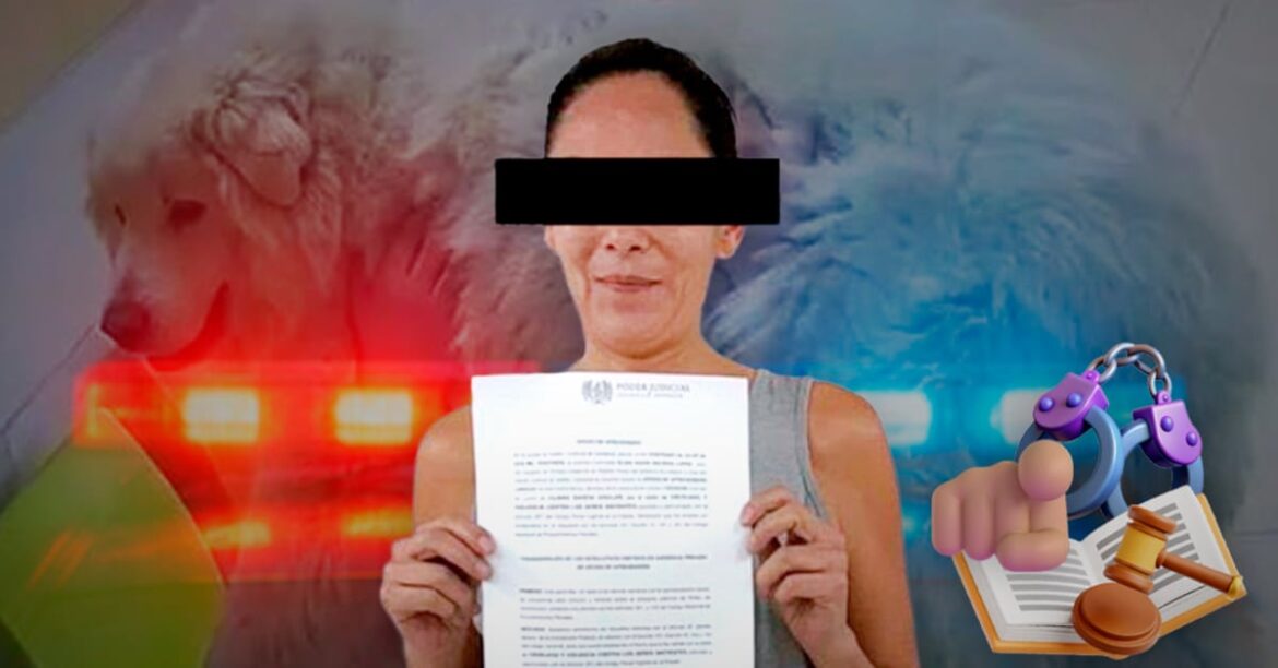 Detienen a mujer en Saltillo por matar a su perro Rocky; enfrenta hasta 8 años de prisión