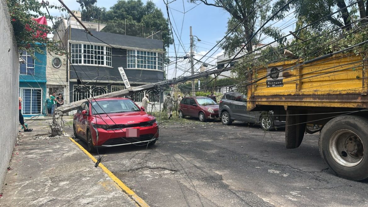Activan Alerta Amarilla por lluvias en ocho alcaldías de la CDMX; árbol de 15 metros colapsa en Gustavo A. Madero