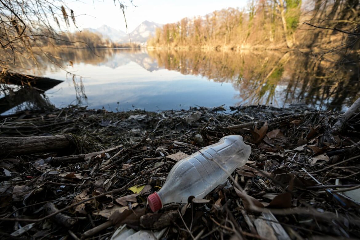 Estudiantes europeos generan datos sobre contaminación plástica en ríos mediante ciencia ciudadana