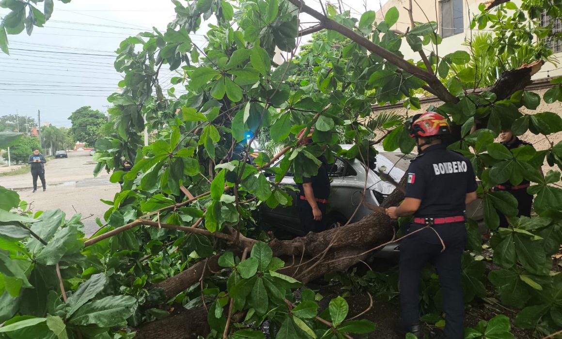 Lluvias en Yucatán generan 116 reportes de emergencia