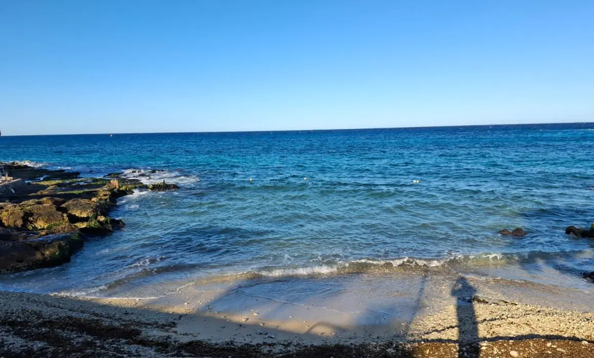 Refuerzan limpieza de sargazo en Cozumel durante temporada vacacional