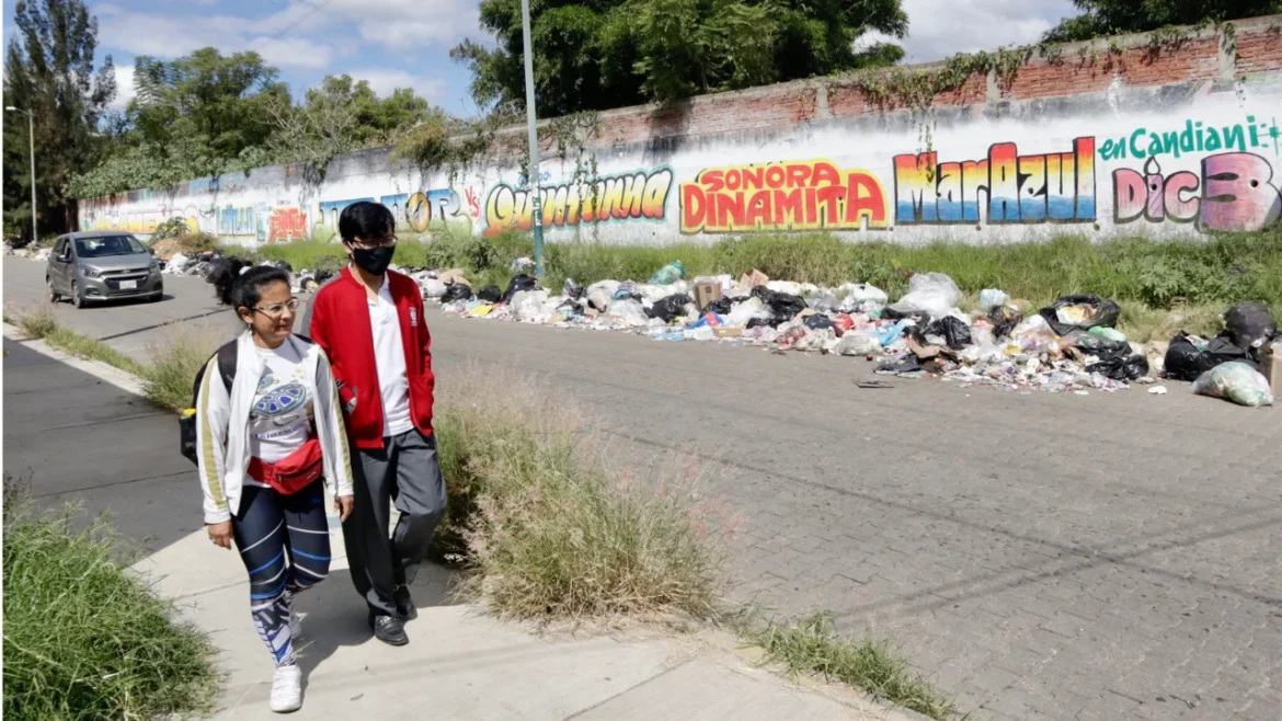 Investigadores alertan sobre proliferación de tiraderos clandestinos de basura en México