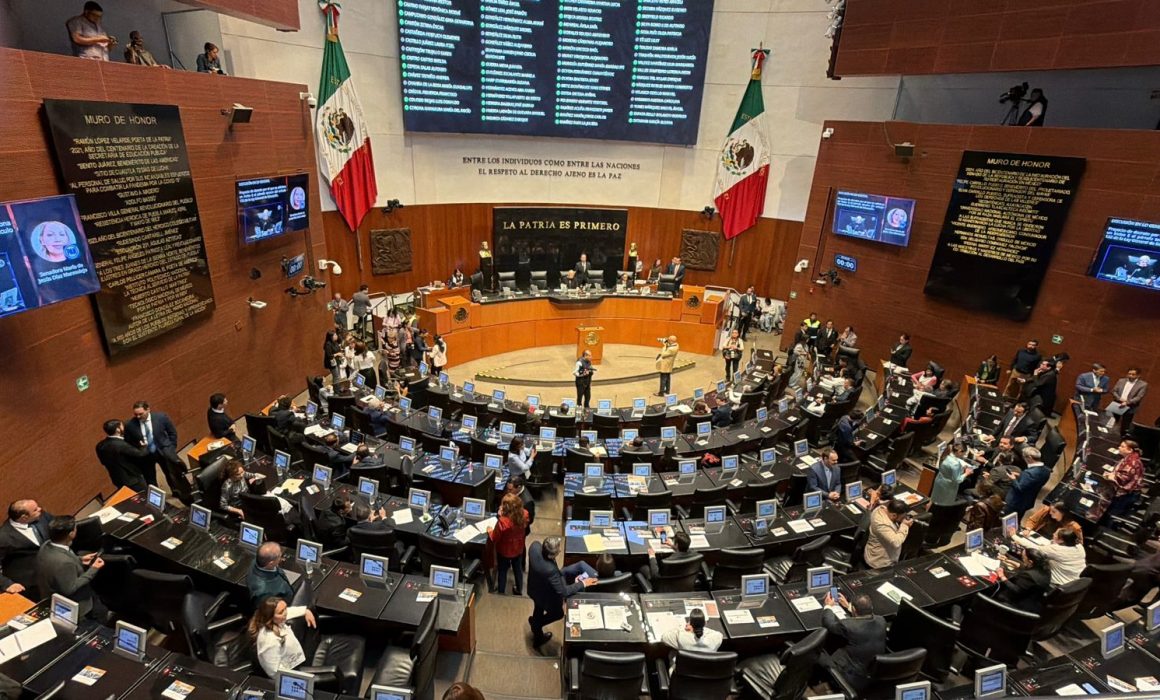 Rechazan Partido Verde y PT a Andrea Chávez para la candidatura de Chihuahua; respaldan a Cruz Pérez Cuéllar