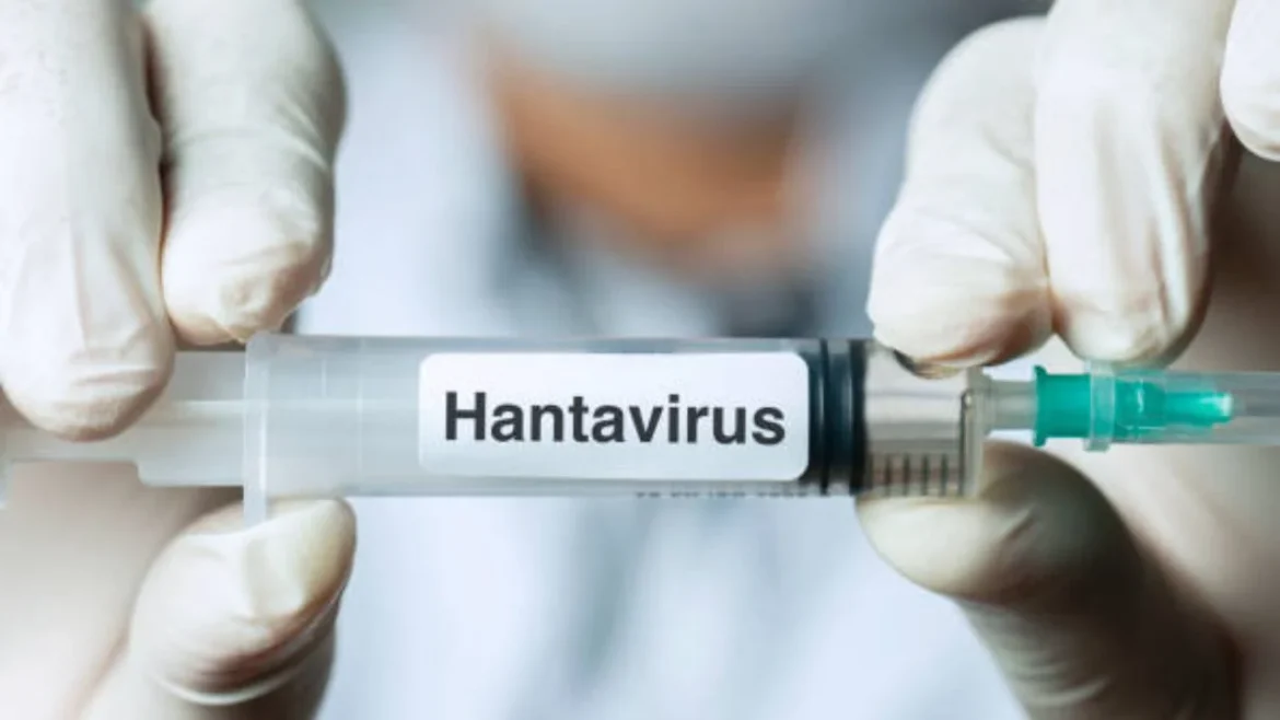 OMS declara fin del brote de hantavirus en el crucero MV Hondius