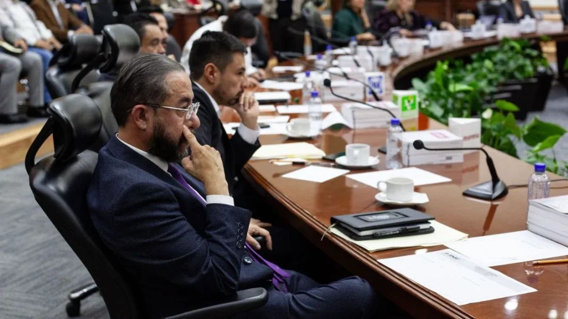 Partido PAZ advierte en el INE que la democracia está en peligro por la inseguridad