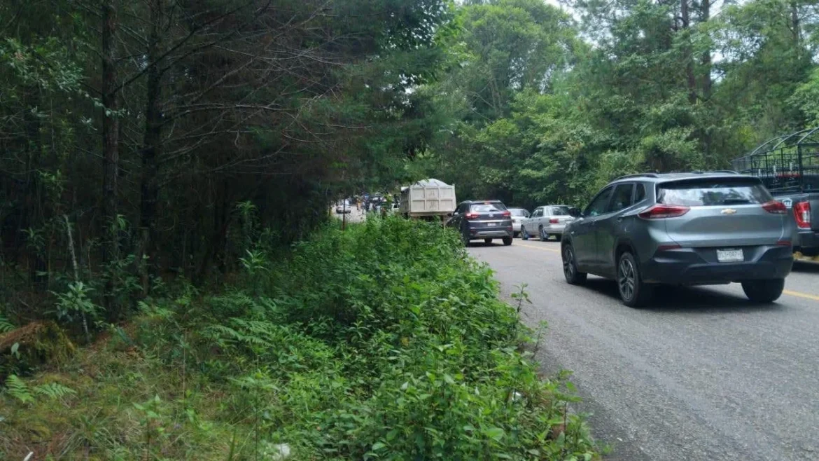 Hallan ocho cuerpos con signos de tortura y narcomensajes en El Bosque, Chiapas