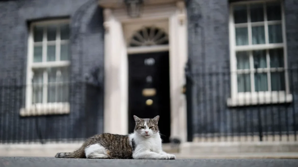 Larry, el gato de Downing Street, recibe a su séptimo primer ministro británico