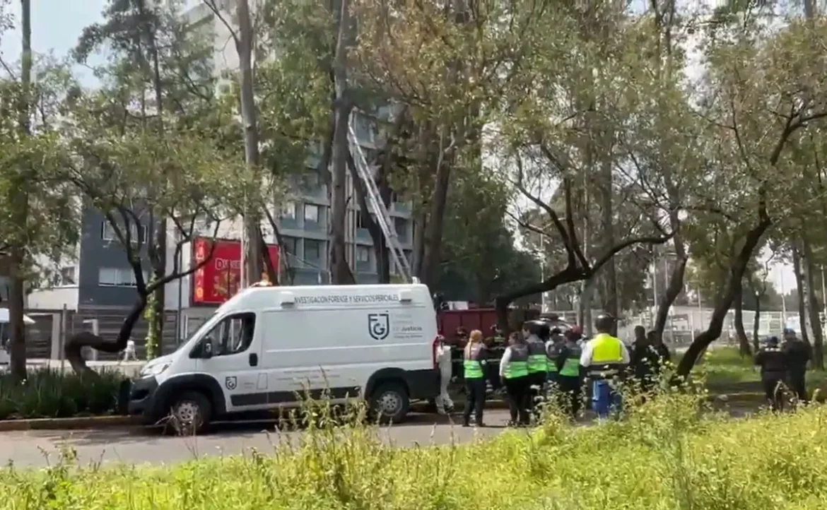 Hallan cuerpo de hombre colgado de un árbol en Avenida Insurgentes Norte