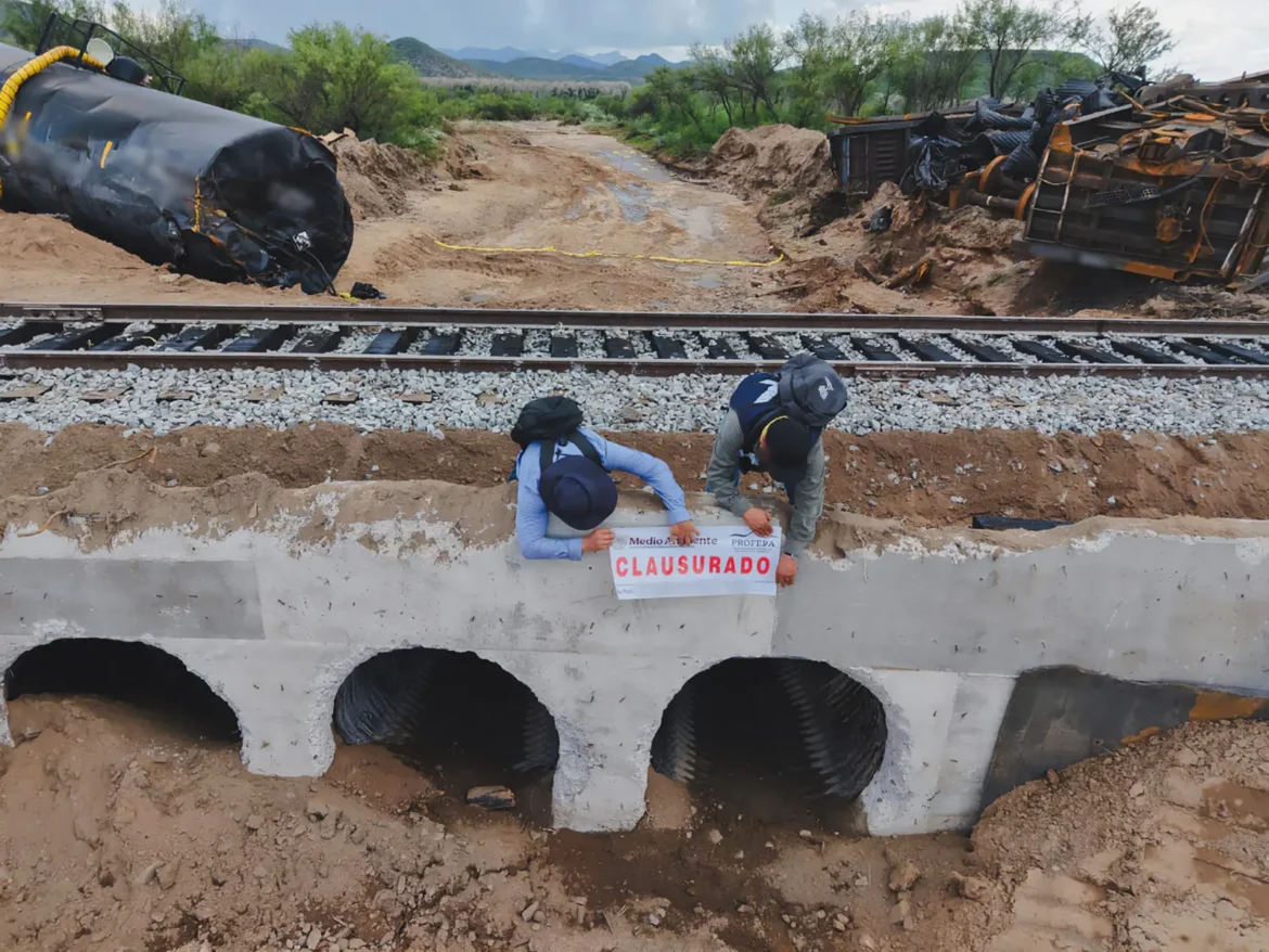 Profepa ordena a Grupo México Transportes reparar daño ambiental por derrame en Naco, Sonora