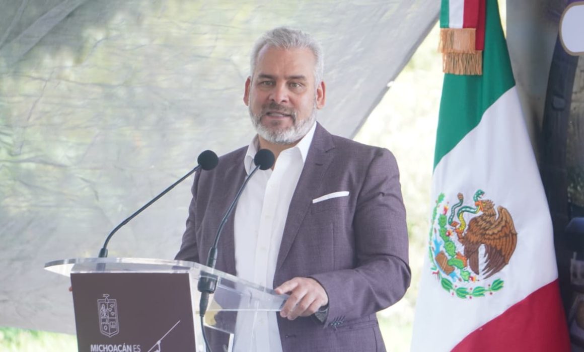 Aguacate detenido por suspensión de USDA se exportará al mantenerse en cadena de frío