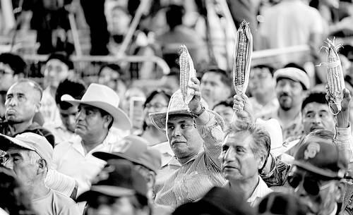 Sheinbaum acuerda mesa con sección 22 de Oaxaca y descarta diálogo con la CNTE
