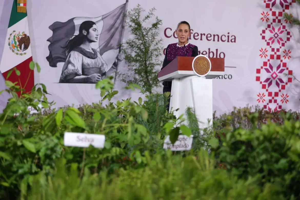 Anuncia Sheinbaum Jornada Nacional de Reforestación con meta de 6.6 millones de plantas y árboles
