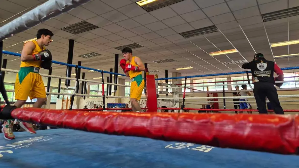 CONADE presenta detalles de la segunda Clase Nacional de Boxeo 2026
